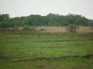 2-Acre Plot Near Ramisi Sugar Factory in Kwale County