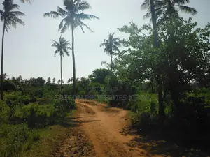 2-Acre Coastal Land in Msambweni