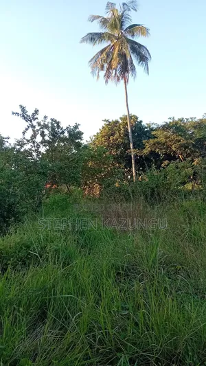 Nice 1/8 Acre Plot Only 1.5 KMS From the Lungalunga Highway Road