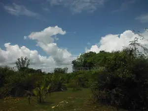 3.5-Acre Plot in Msambweni