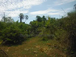 3.5-Acre Plot in Msambweni