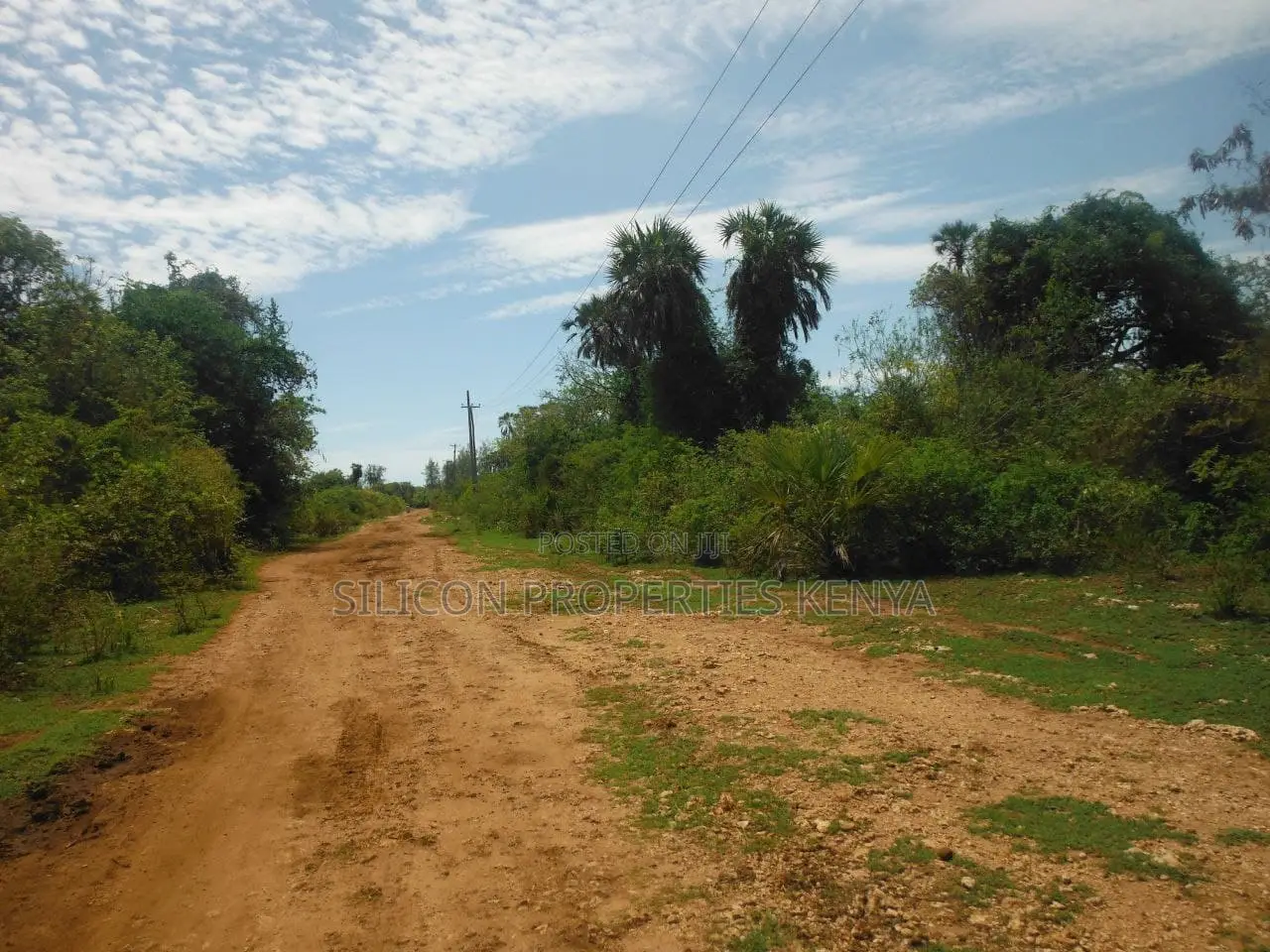 3.5-Acre Plot in Msambweni