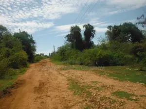 3.5-Acre Plot in Msambweni
