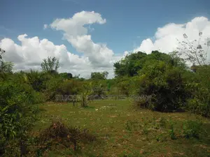3.5-Acre Plot in Msambweni