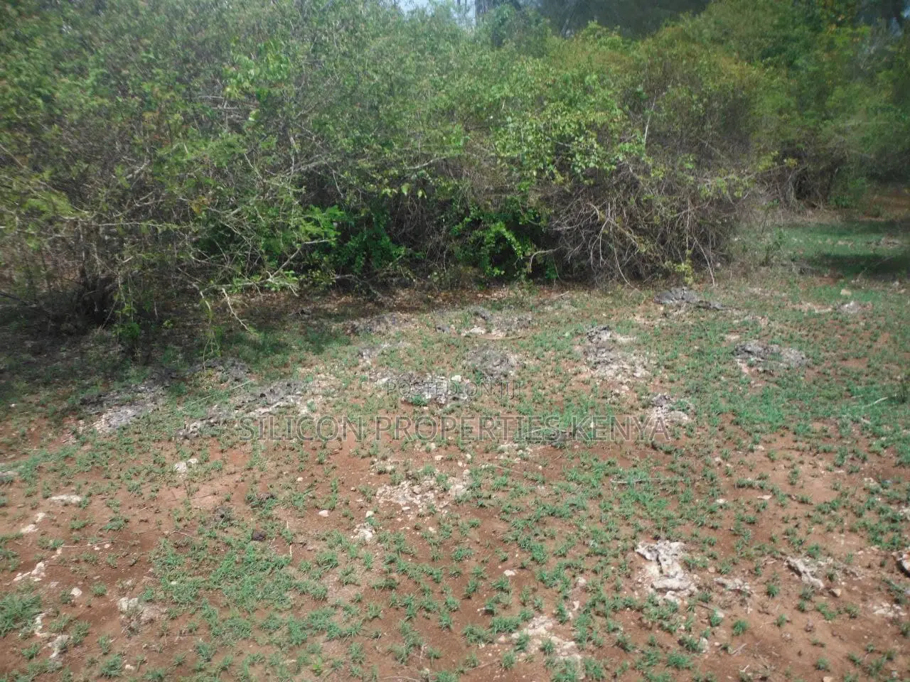 3.5-Acre Plot in Msambweni
