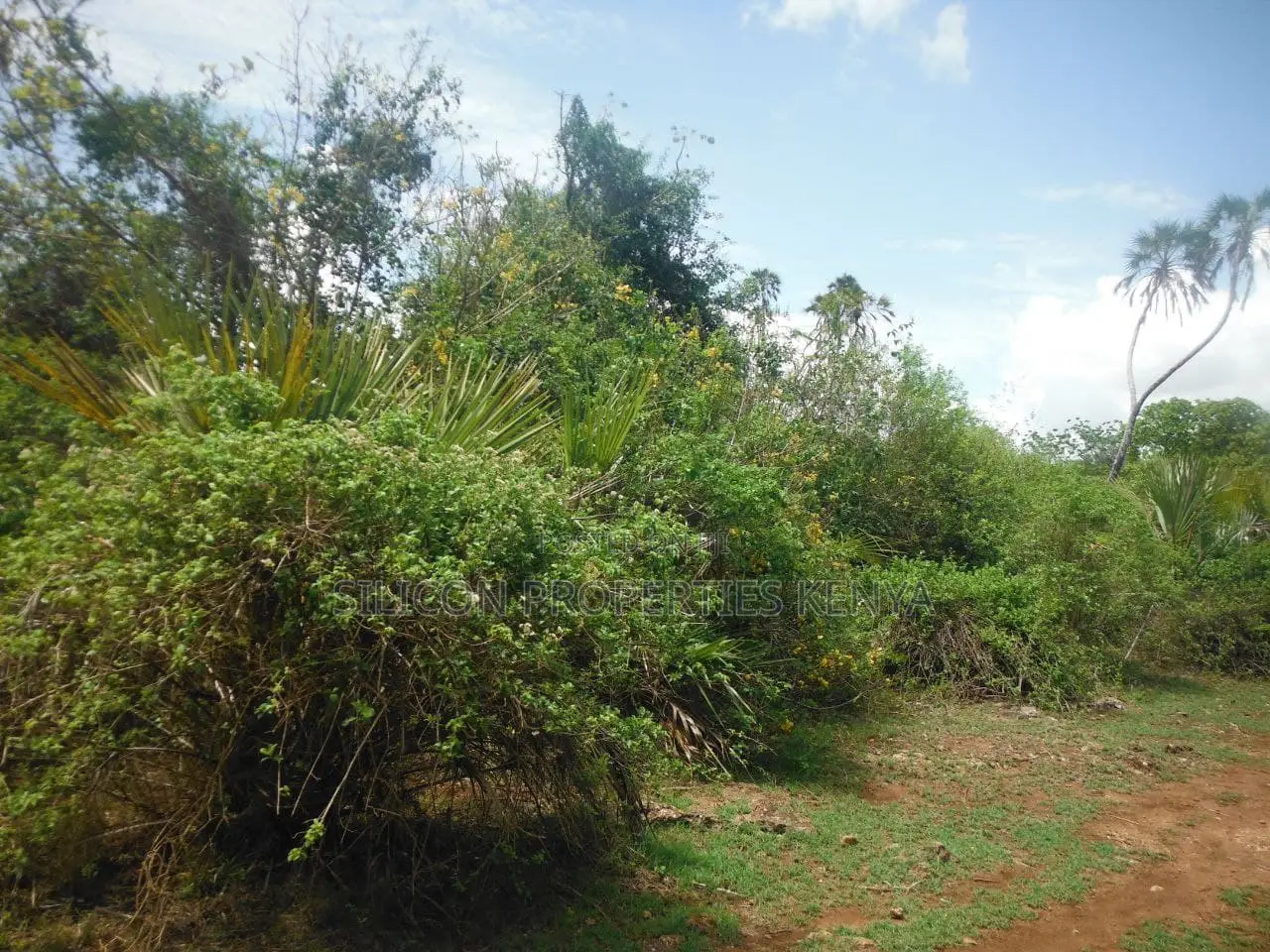 3.5-Acre Plot in Msambweni