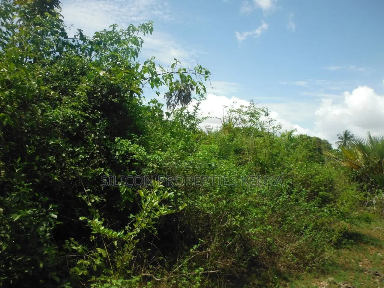 3.5-Acre Plot in Msambweni