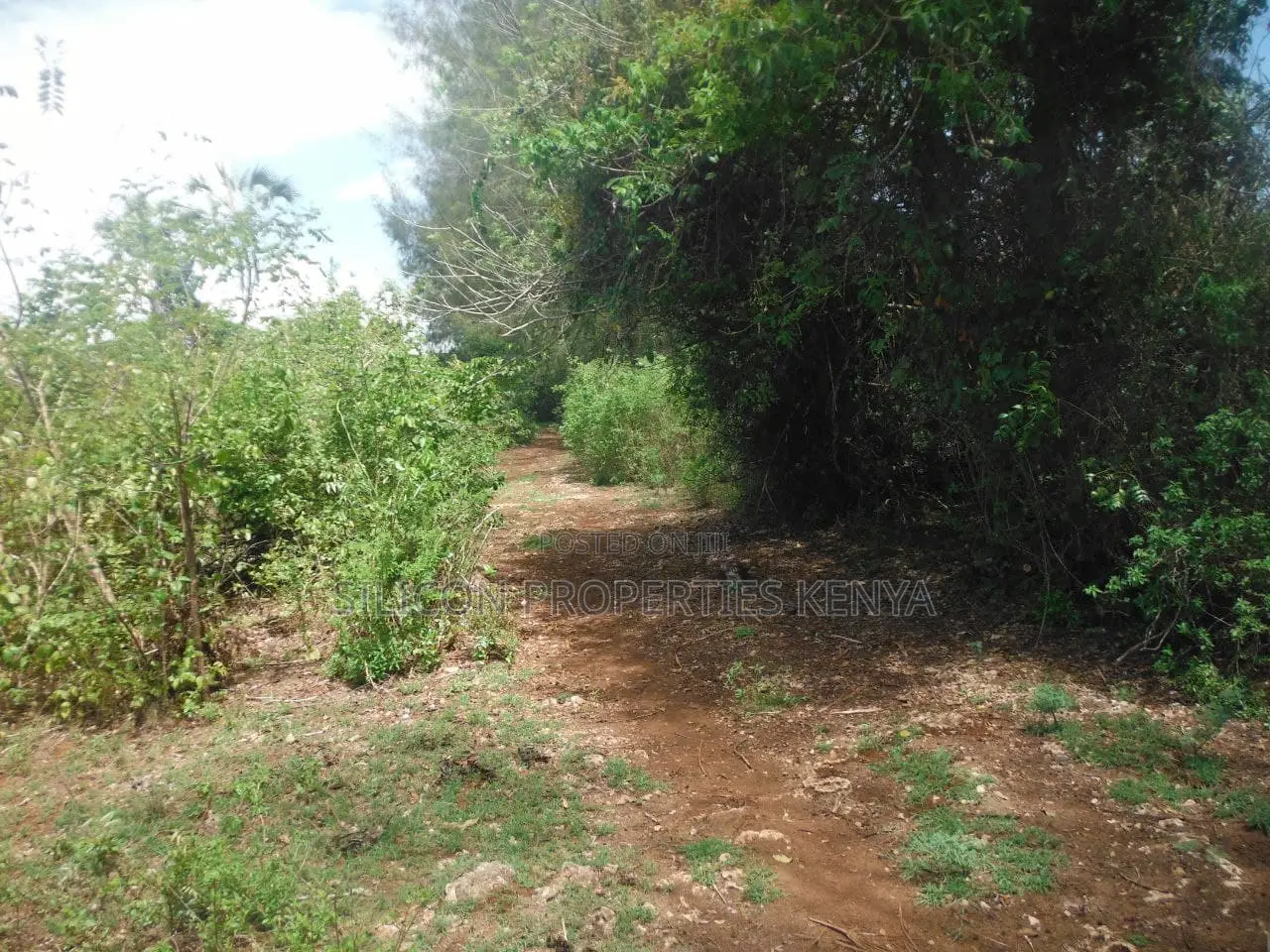 3.5-Acre Plot in Msambweni
