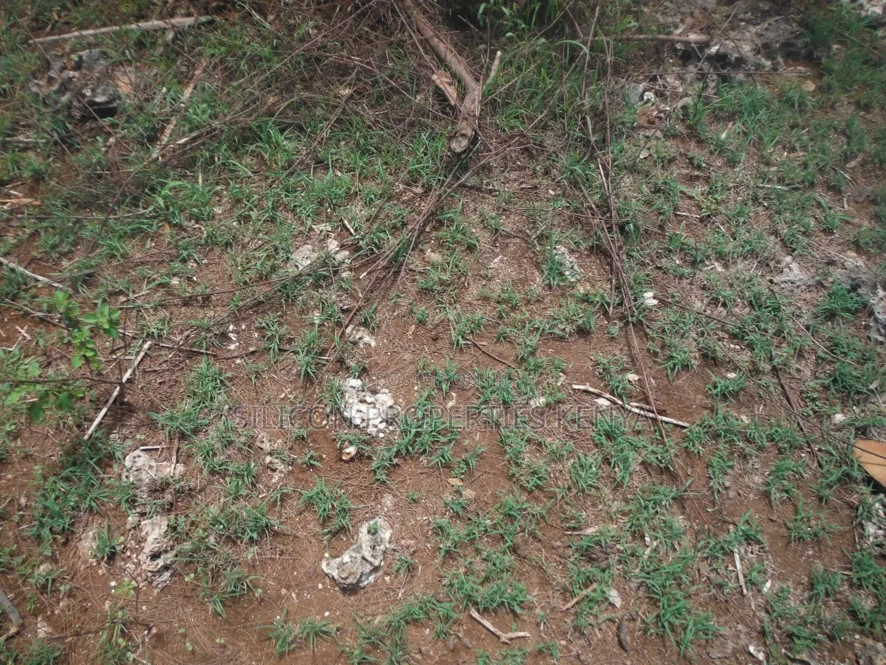 3.5-Acre Plot in Msambweni