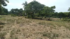 4.5-Acre Plot in Matuga