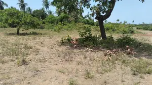 4.5-Acre Plot in Matuga