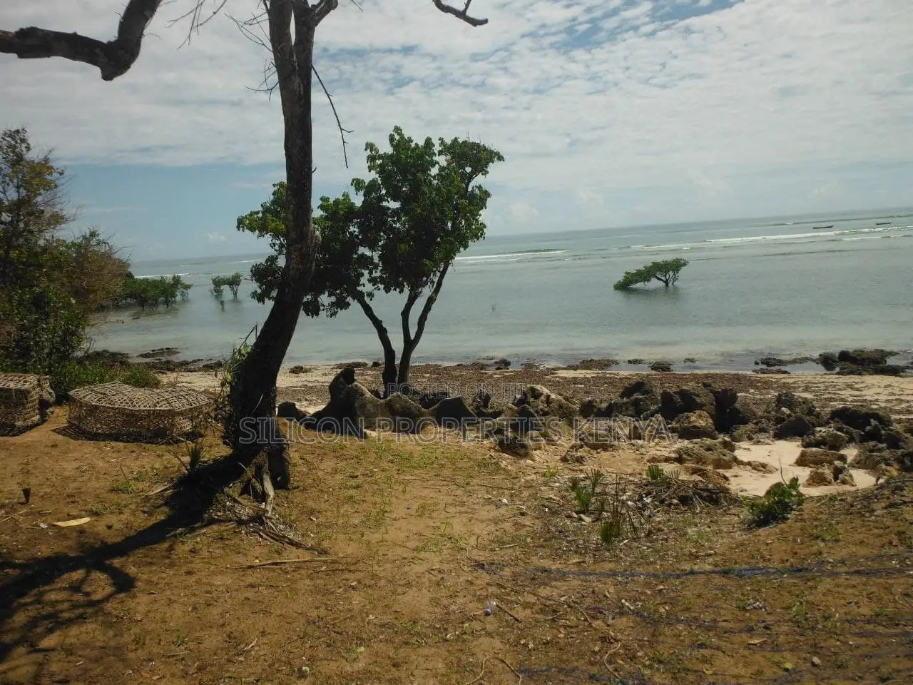 5-Acre Coral Beachfront Plot in Msambweni