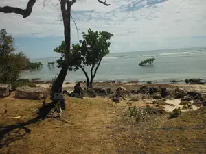 5-Acre Coral Beachfront Plot in Msambweni