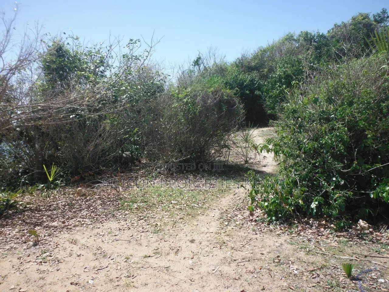 5-Acre Coral Beachfront Plot in Msambweni