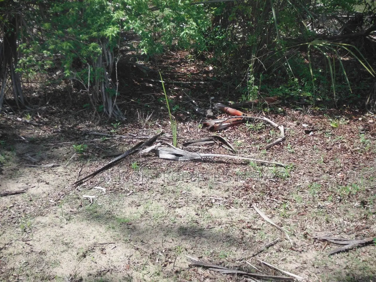 5-Acre Coral Beachfront Plot in Msambweni