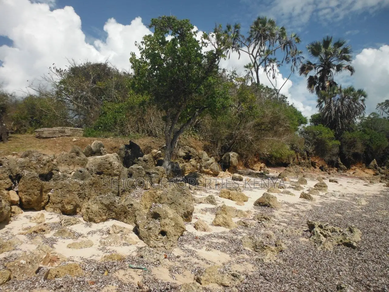 5-Acre Coral Beachfront Plot in Msambweni