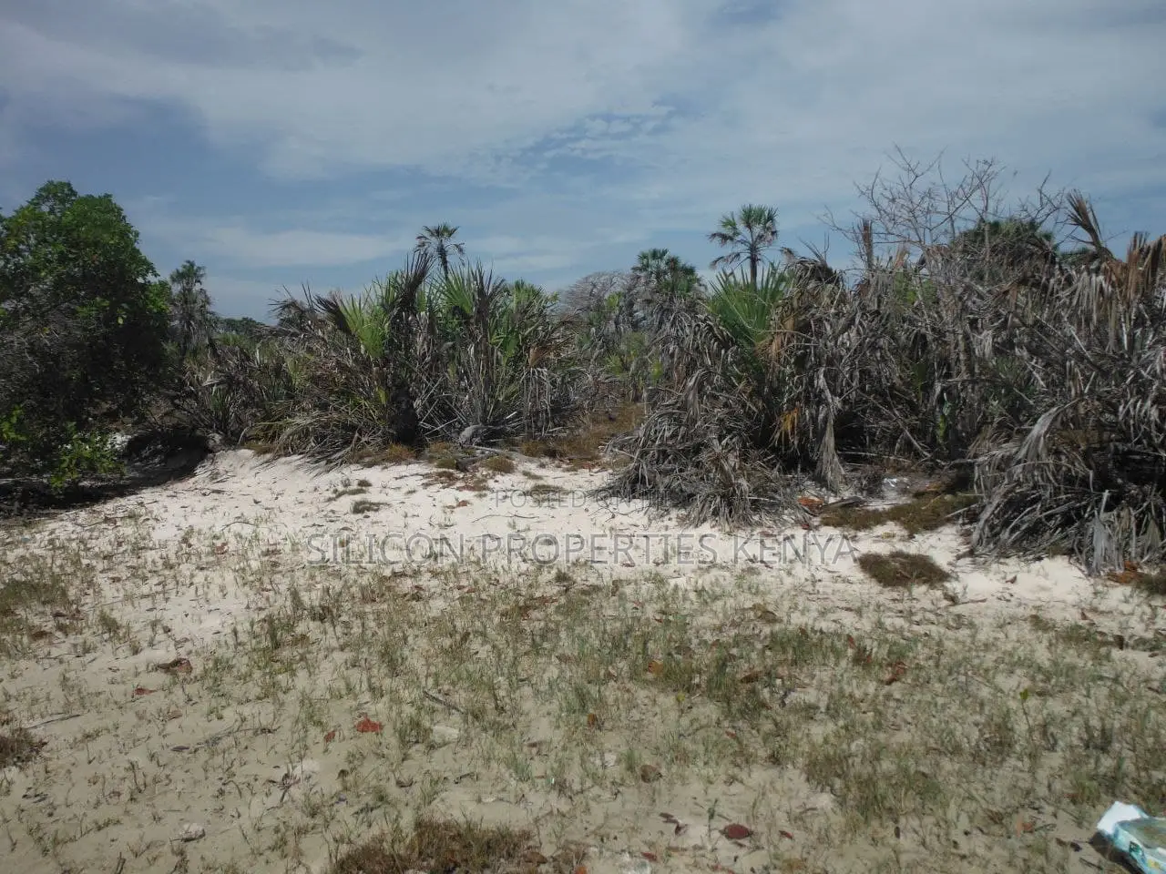 1-Acre Beachfront Plot in Msambweni (Funzi)