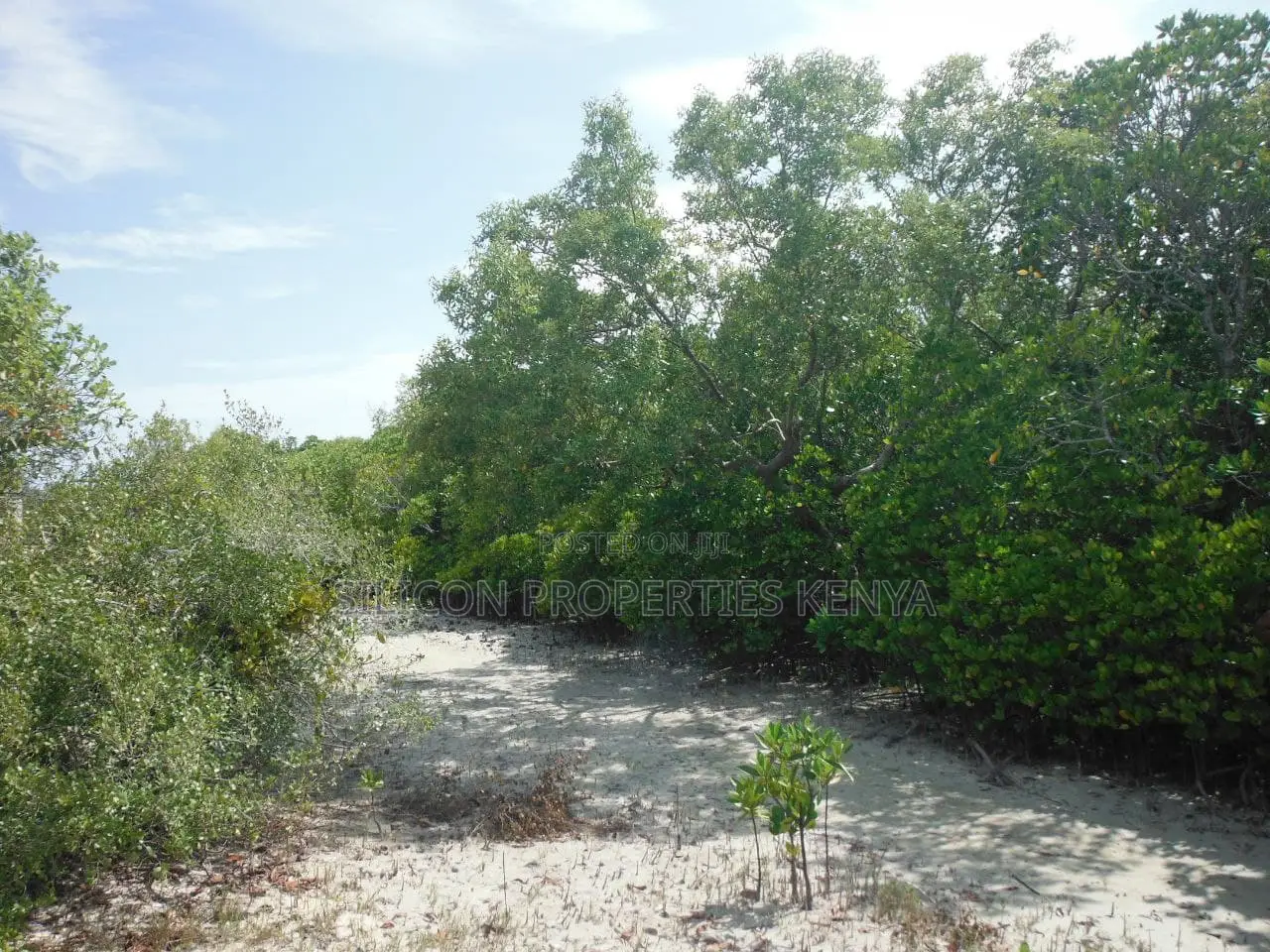 1-Acre Beachfront Plot in Msambweni (Funzi)