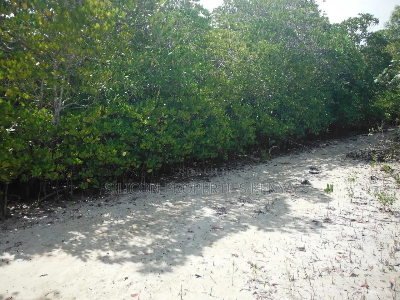 1-Acre Beachfront Plot in Msambweni (Funzi)
