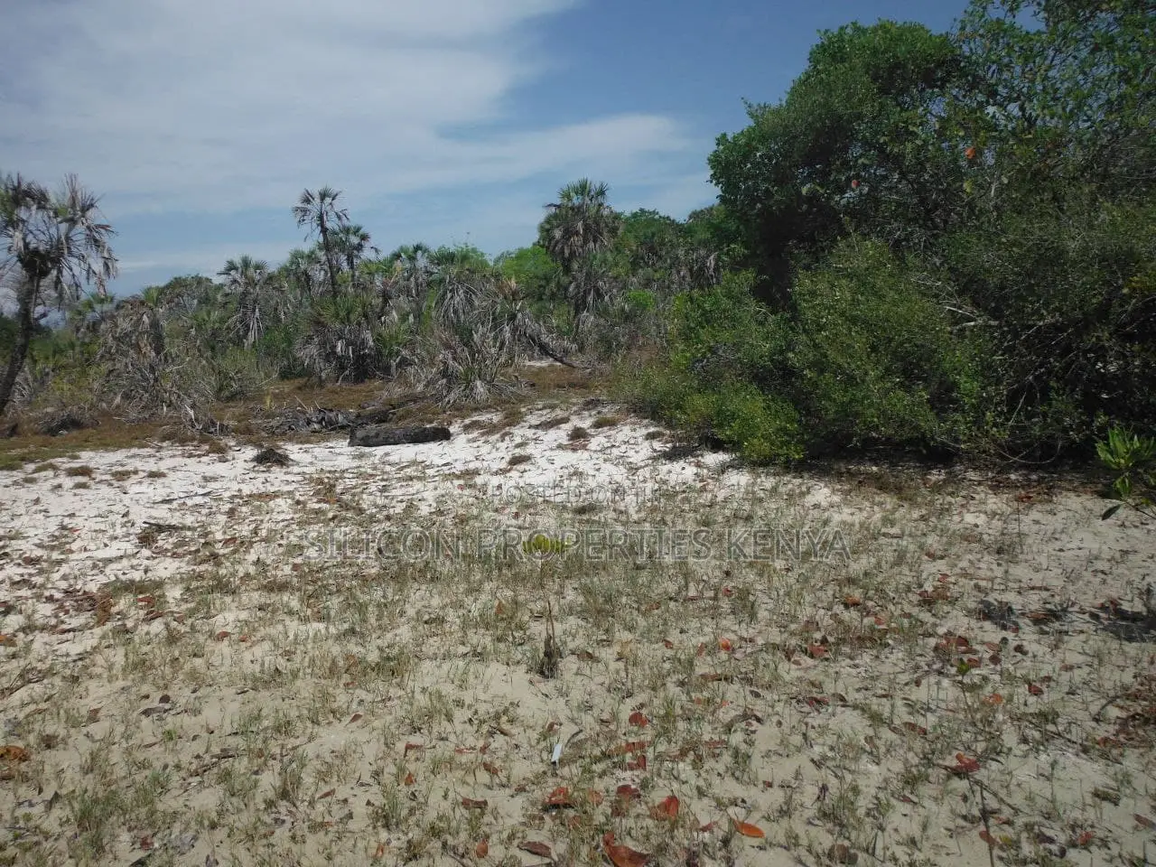 1-Acre Beachfront Plot in Msambweni (Funzi)