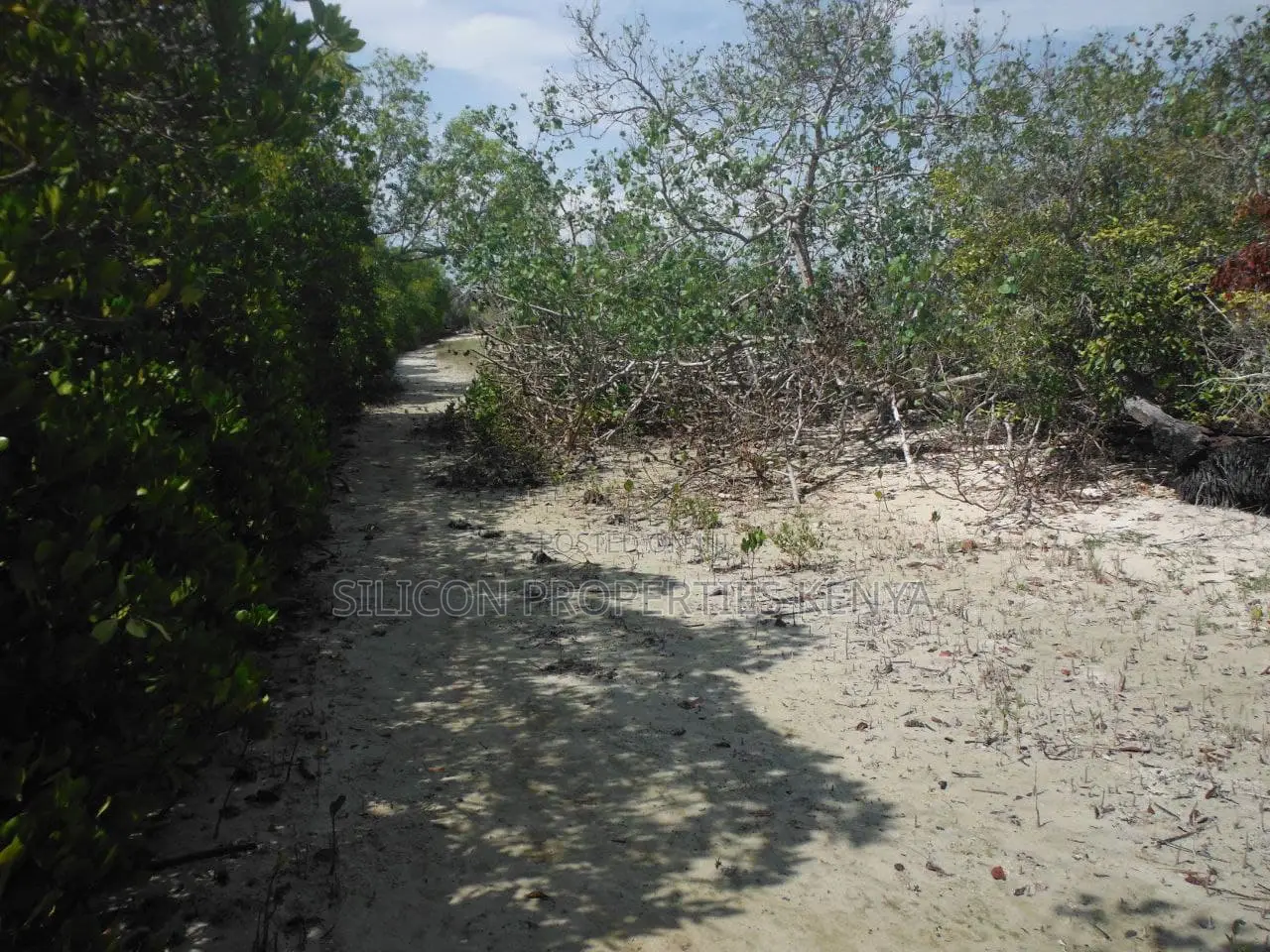 1-Acre Beachfront Plot in Msambweni (Funzi)