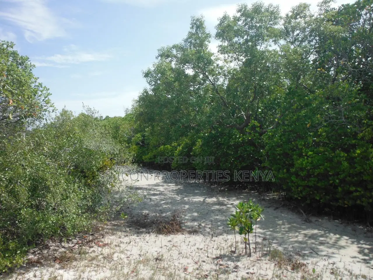 1-Acre Beachfront Plot in Msambweni (Funzi)