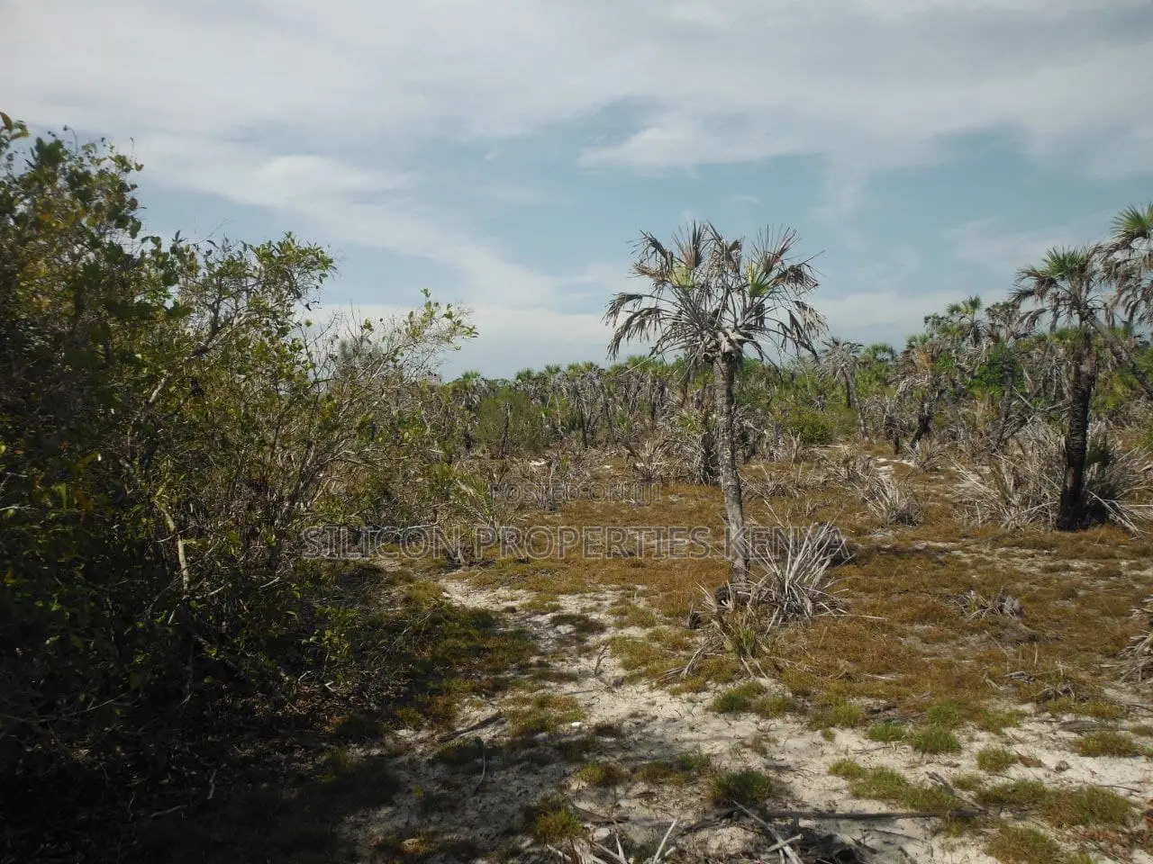 1-Acre Beachfront Plot in Msambweni (Funzi)