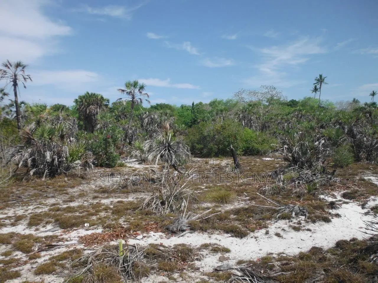 1-Acre Beachfront Plot in Msambweni (Funzi)