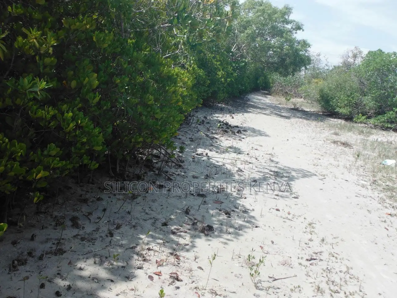 1-Acre Beachfront Plot in Msambweni (Funzi)
