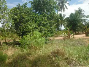 0.25-Acre Plot in Mvindeni