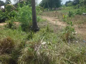 0.25-Acre Plot in Mvindeni