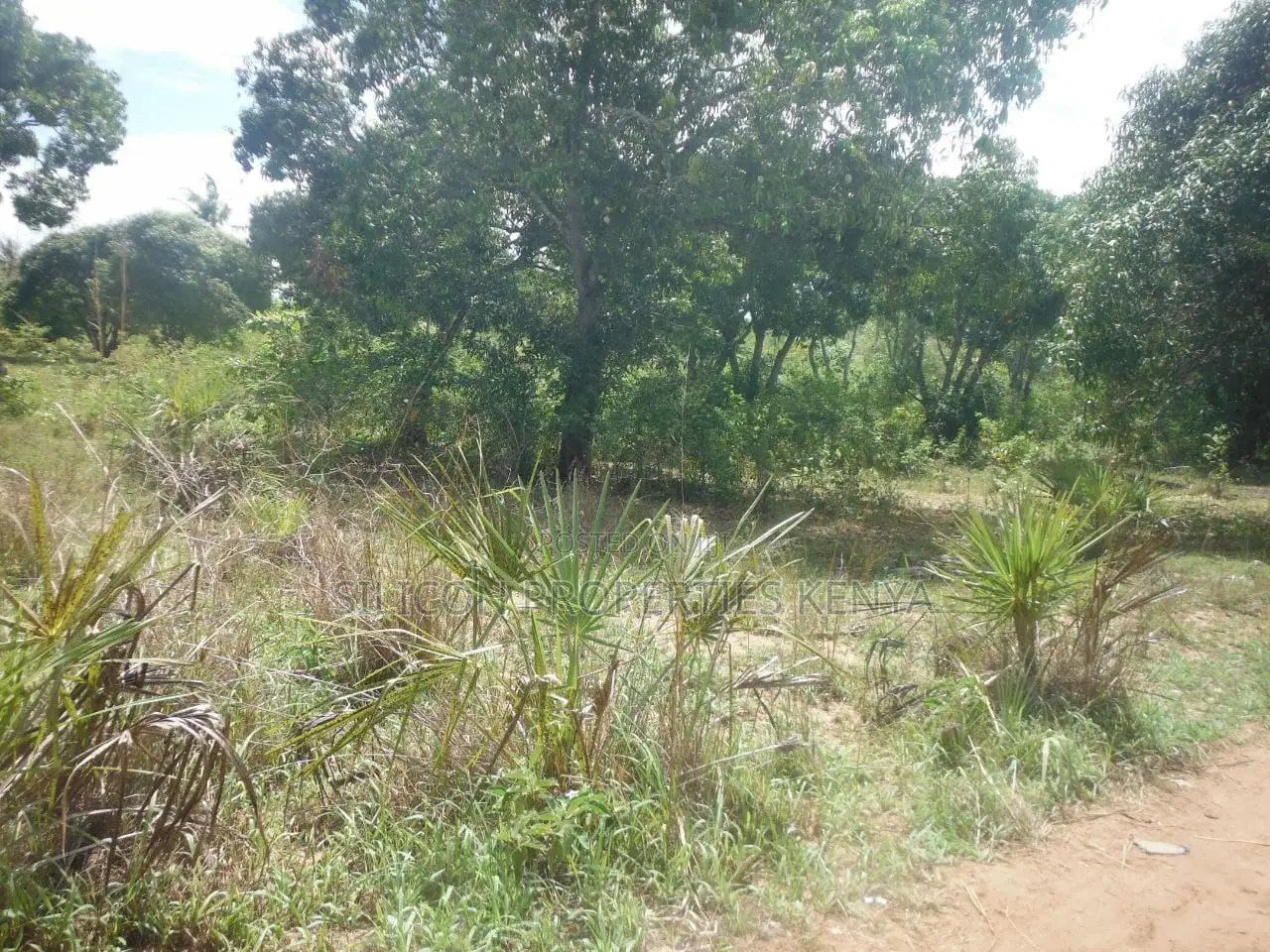 0.25-Acre Plot in Mvindeni