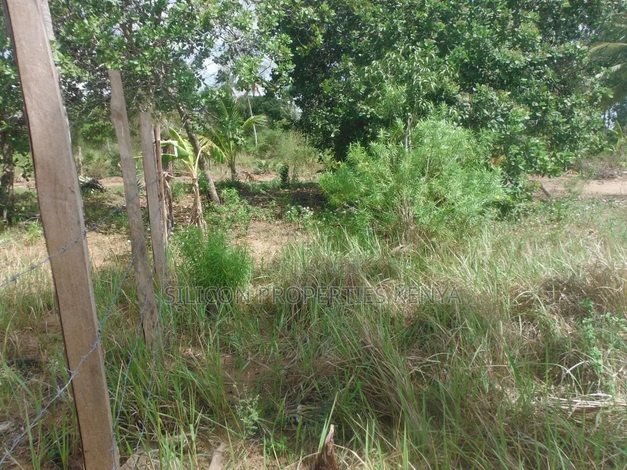 0.25-Acre Plot in Mvindeni