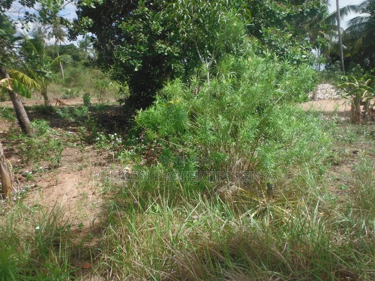 0.25-Acre Plot in Mvindeni