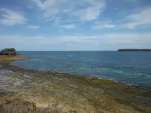 Stunning Coral Land in Shimoni