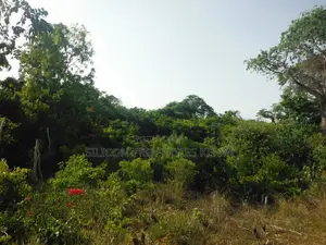 Another 0.25 Acre in Shimoni