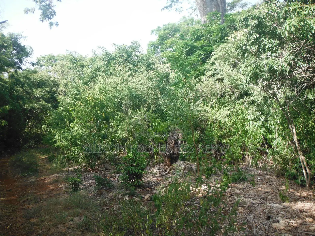 Another 0.25 Acre in Shimoni