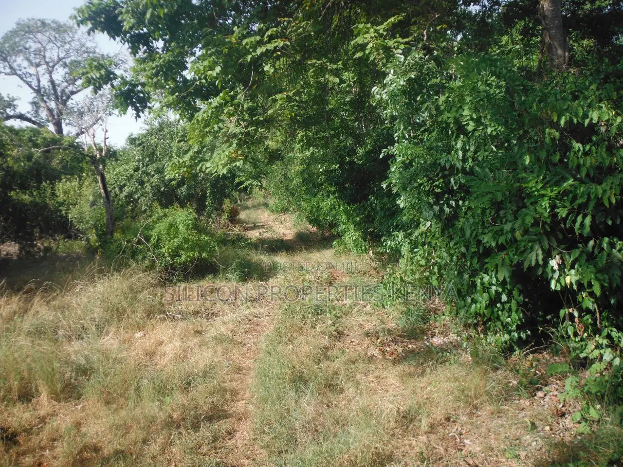 Another 0.25 Acre in Shimoni