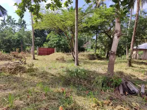 Half Acre in Diani Mwabungo