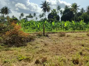 Half Acre in Diani Mwabungo