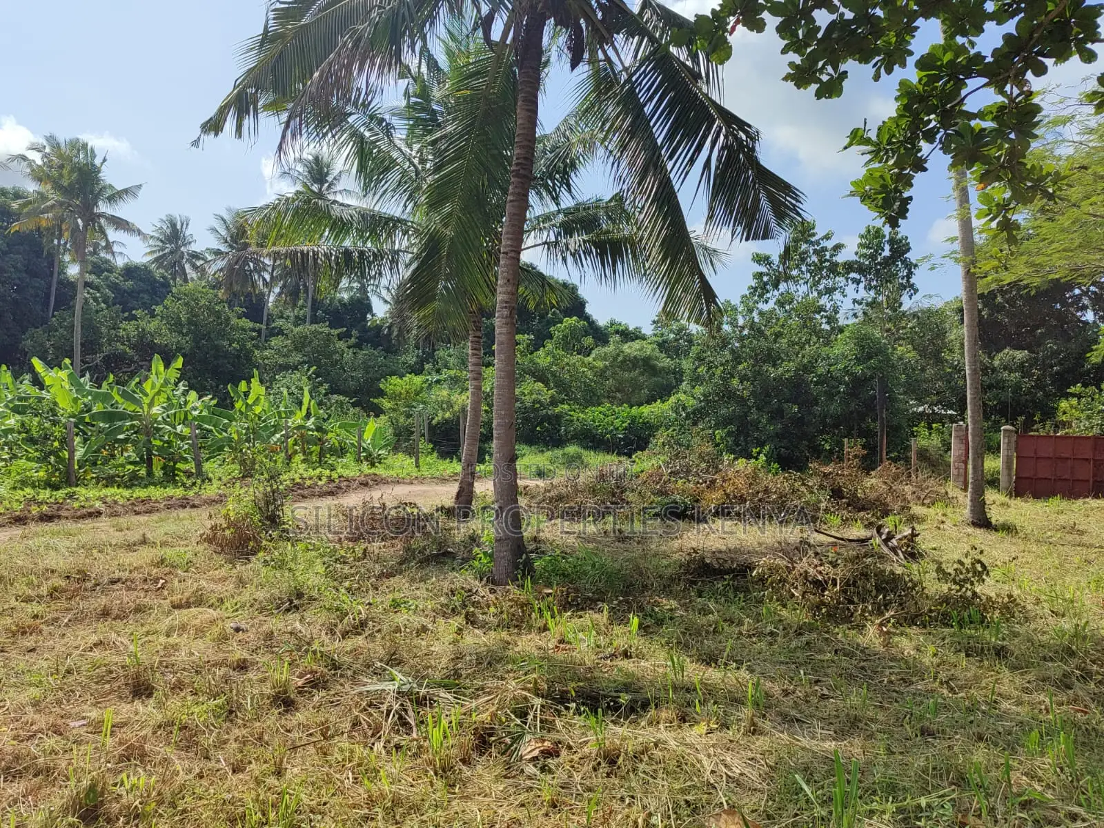 Half Acre in Diani Mwabungo