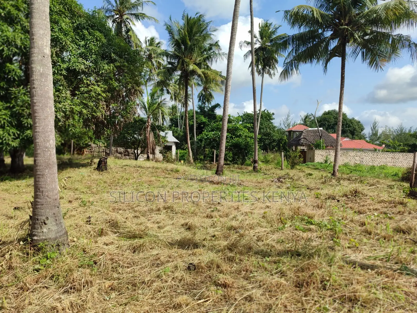 Half Acre in Diani Mwabungo