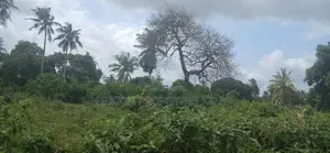 1-Acre Plot in Matuga