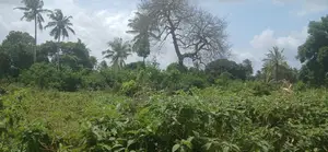 1-Acre Plot in Matuga