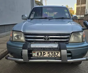Toyota Land Cruiser 1995 Silver