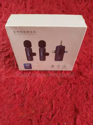  Dual Wireless Mic Plug Play
