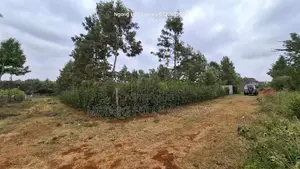 Prime 100x100 Orchard Plot for Sale – Kibiko, Baboon Crescent Road