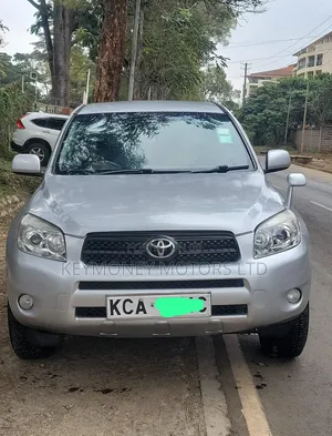 Toyota RAV4 2009 Silver