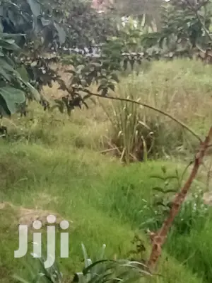Very Prime Land For Sale Touching Garden Estate Road