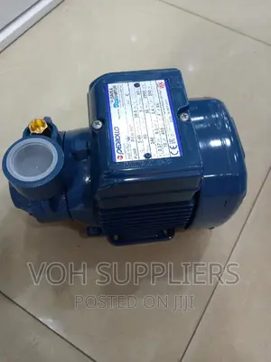 Pedrollo Water Pump